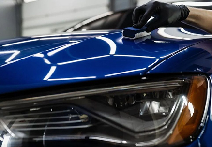 Paint Protection